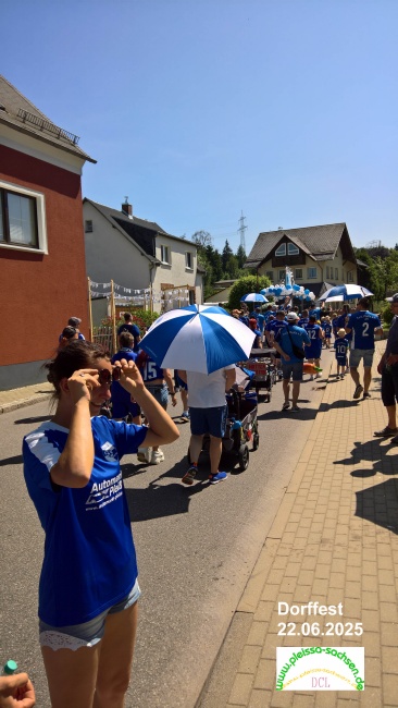 dfso39.jpg