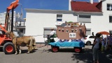 dfso011.jpg