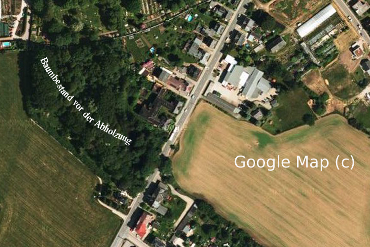 Luftbild Google-Maps